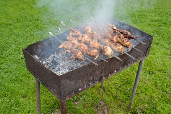 Frituren van de kwartels gespannen op een barbecuespies, op een brazier — Stockfoto