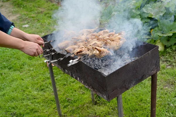 Preparation of the quails strung on a skewer, on a brazier — Stock Photo, Image
