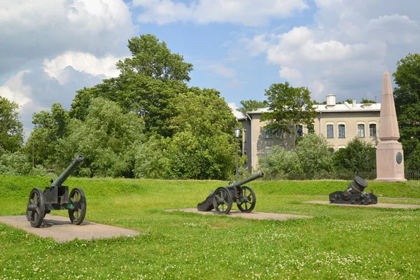 Ekspozycja broni artylerii z xviii wieku i obelisk na — Zdjęcie stockowe