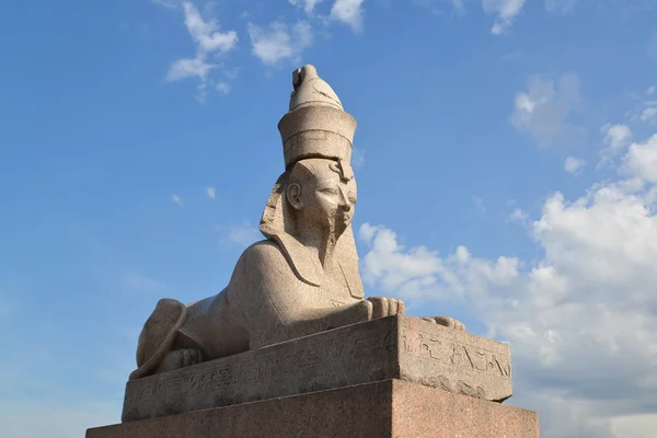 Altägyptische Sphinx in St. Petersburg vor blauem Himmel — Stockfoto