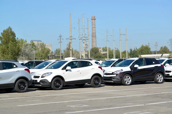 Carros novos estão no território da fábrica de automóveis — Fotografia de Stock