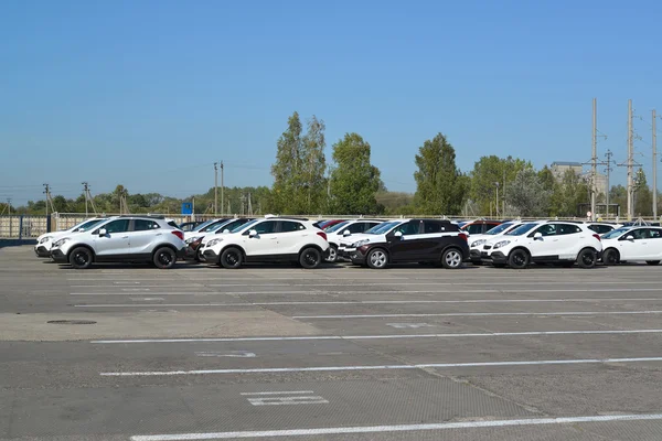 Nowe samochody stoją na terenie zakładu samochodowego — Zdjęcie stockowe