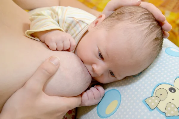 Breastfeeding of the baby — Stock Photo, Image