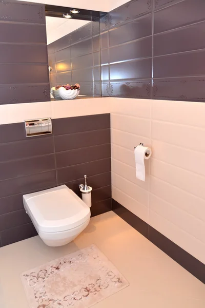 Banyo iç parçası ile sıhhi tesisat donatım — Stok fotoğraf