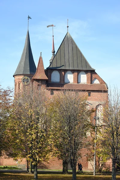 Kaliningrad. Königsbergs katedral i höst — Stockfoto