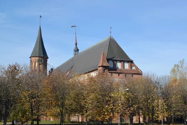 Kaliningrad. Konigsberg cathedral in the fall — Stock Photo, Image