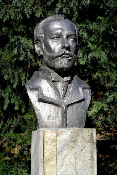 Бюст композитора П. И. Чайковского в Калининграде — стоковое фото