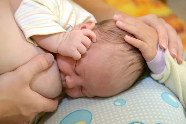 El niño pequeño plancha al bebé en la cabeza. Lactancia materna —  Fotos de Stock