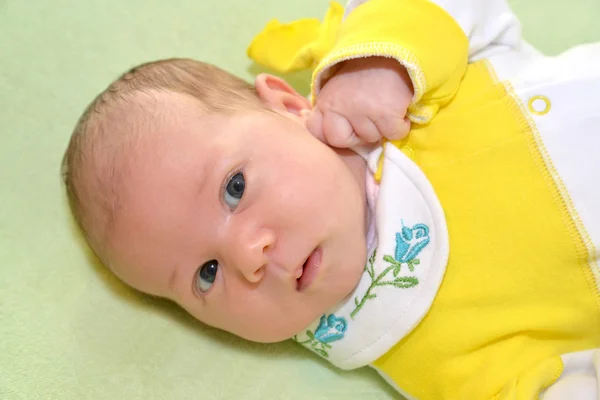 Portrait of the baby on a green background — Stock Photo, Image