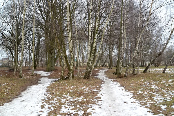 Early spring, thaw — Stock Photo, Image