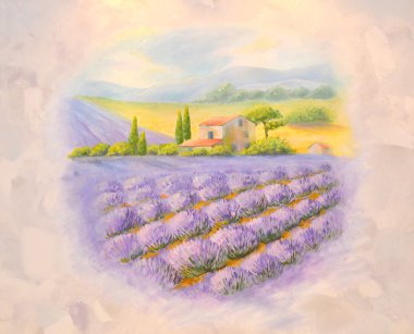 Provence çiçek açması lavanta alanları. Bir oda bir listede 