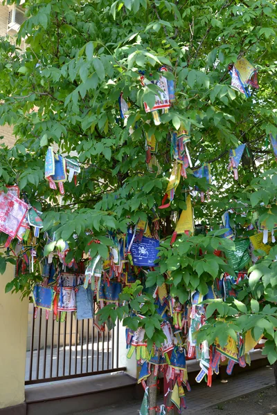 Hiymorin, etiquetas budistas coloridas com uma oração pendurar em uma árvore — Fotografia de Stock