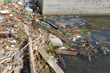 Nehir kıyısında ve su ev çöpü alır