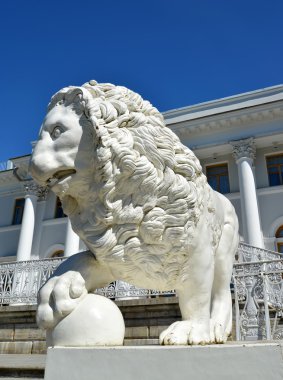 St Petersburg, Rusya - 11 Temmuz 2014: Bir beyaz taş aslan 