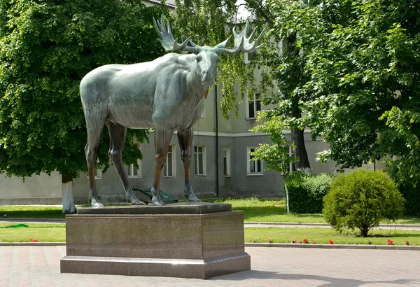 Gusev, Rusko - 04 června 2015: Elk socha na náměstí — Stock fotografie