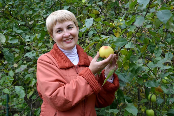 Die Frau mittleren Alters hält einen Apfel in der Hand, — Stockfoto