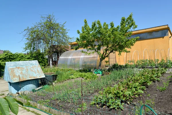 Jardim de cozinha na dacha sazonal no verão — Fotografia de Stock