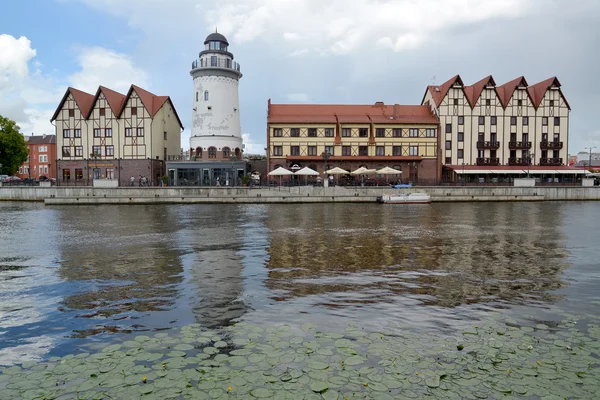 Kaliningrad, Federacja Rosyjska - 21 czerwca 2015: Widok kultury i et — Zdjęcie stockowe