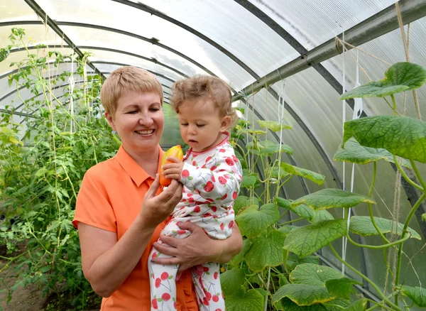 The woman gives to the little granddaughter sweet pepper in the — Stock Photo, Image