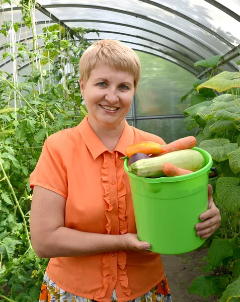Žena průměrné let drží v ruce vědro s zeleninou Royalty Free Stock Fotografie