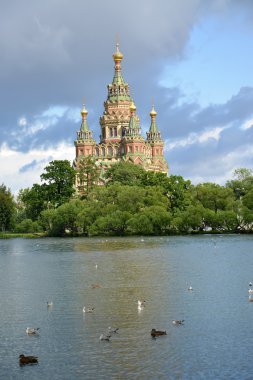 Holguin Peterhof havuz kıyısında Saint Pyotr ve Pavel'ın Katedrali