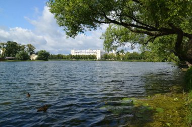 Holguin bir su birikintisi Kolonistsky park göster. Peterhof