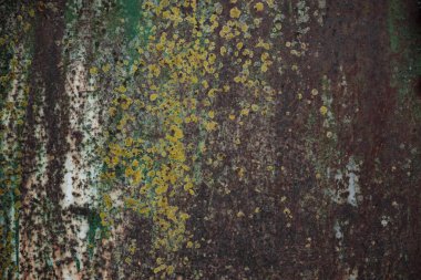 metal bir yüzeye düşen kapalı boya ile pas