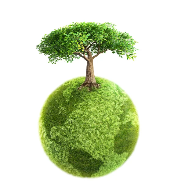 Albero verde e terra — Foto Stock