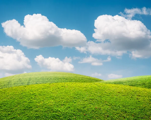 Groene lente landschap — Stockfoto