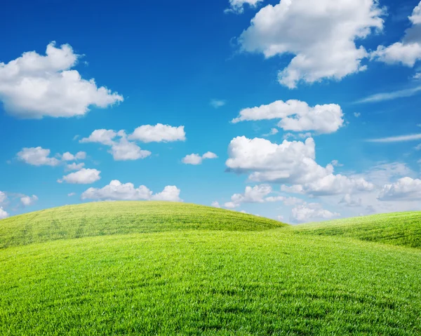 Green spring landscape — Stock Photo, Image