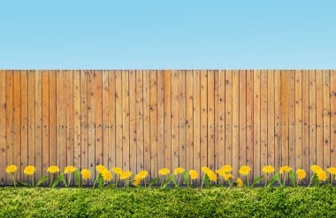 fence at backyard clipart