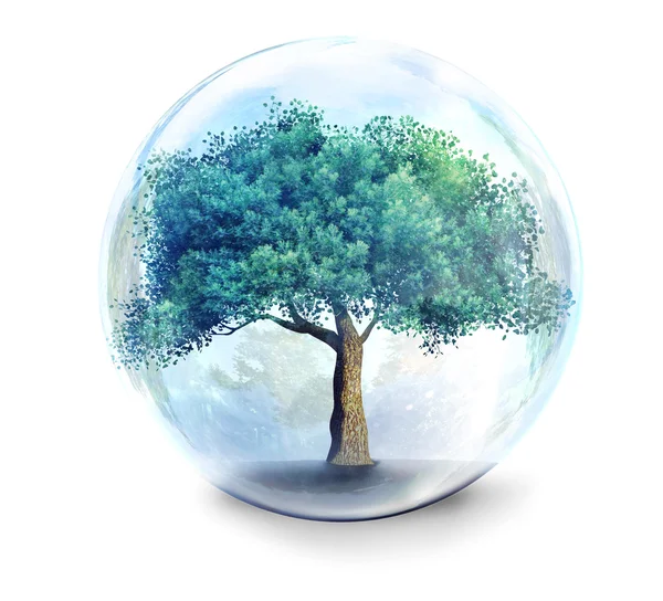 Tree in glass ball — Stock Photo, Image