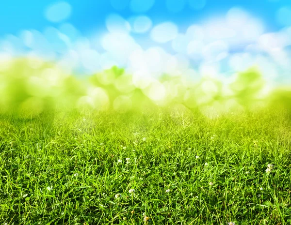 緑の草がぼやけて背景 — ストック写真