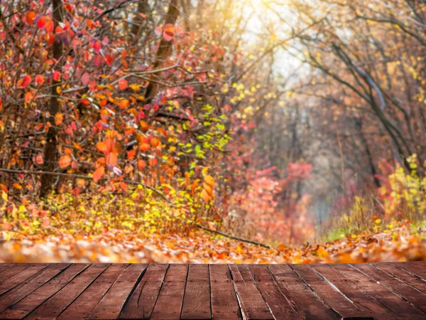 Autumn leaves background — Stock Photo, Image