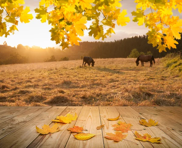 Jesień krajobraz — Zdjęcie stockowe