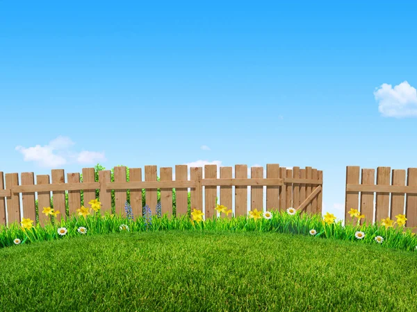 Grüne Graswiese Und Frühlingsblumen Hinterhof Hintergrund — Stockfoto