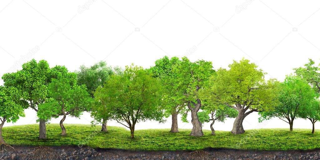 trees forest  isolated on white background 3D illustration, ecosystem concept