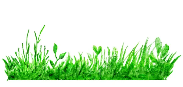 Aquarell Wiese Kräuterrand Komposition Mit Grünem Gras Isoliert Auf Weißem — Stockfoto