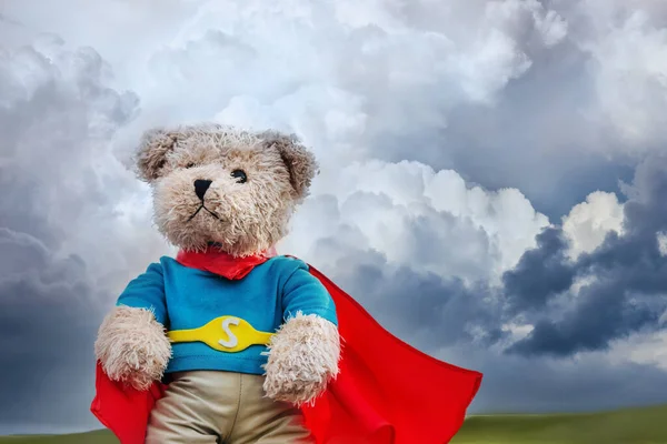 Brave Bear Toy Stormy Sky — Stock Photo, Image