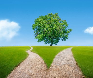 Yol seçimi konseptinde ayrım 