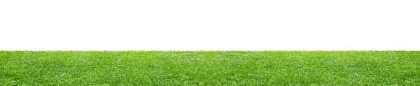 Green Grass Field Isolated White Background — Stock Photo, Image