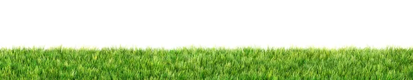Green Grass Field Isolated White Background — Stock Photo, Image