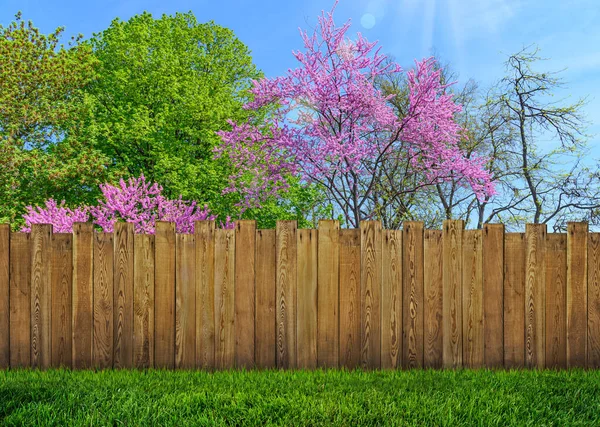 Arbre Fleurs Printemps Dans Cour Arrière Clôture Jardin Bois — Photo