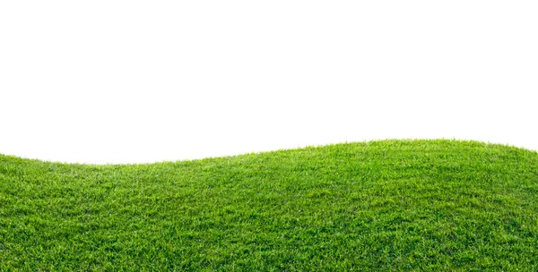 Green Grass Field Isolated White Background — Stock Photo, Image