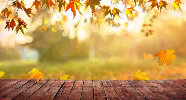 柳橙落叶和老木板 秋天自然背景 — 图库照片