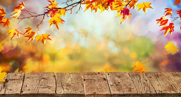 Orange Falla Löv Och Gamla Träskiva Höst Naturlig Bakgrund — Stockfoto