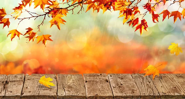 Orange Fall Leaves Old Wooden Board Autumn Natural Background — Stock Photo, Image