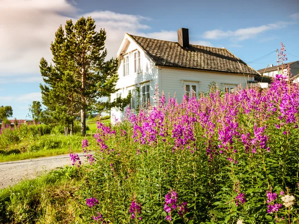 Casa con flores — Foto de Stock