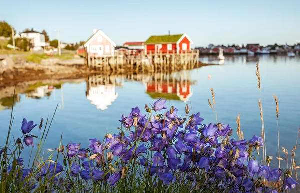 Klasické zobrazení Norsko — Stock fotografie