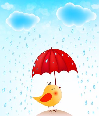 şemsiye ile komik kuş